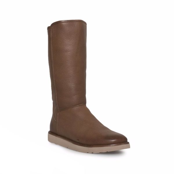 UGG Abree II Leather Bruno Boots on Sale