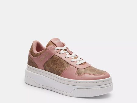 Coach Outlet Platform Sneaker In Signature Canvas Online now