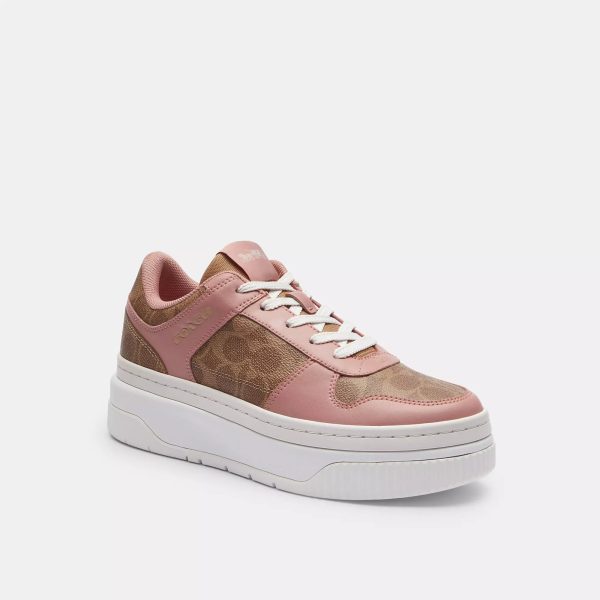 Coach Outlet Platform Sneaker In Signature Canvas Online now