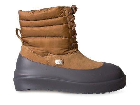 UGG X Stampd Lace Up Chestnut Boots - Men s Online now