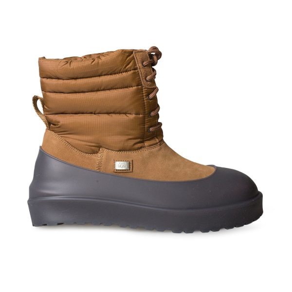 UGG X Stampd Lace Up Chestnut Boots - Men s Online now