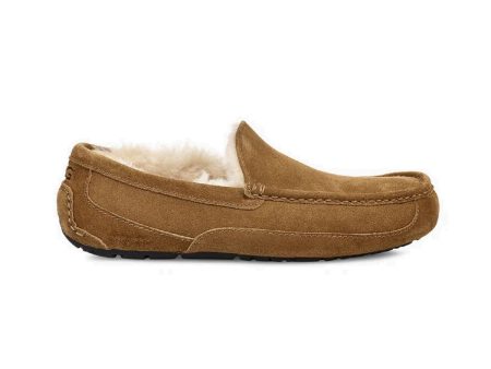 UGG Men s Ascot (Chestnut) Hot on Sale