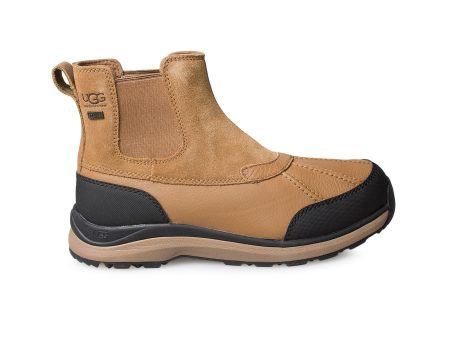 UGG Adirondack III Chelsea Chestnut Boots - Women s Sale