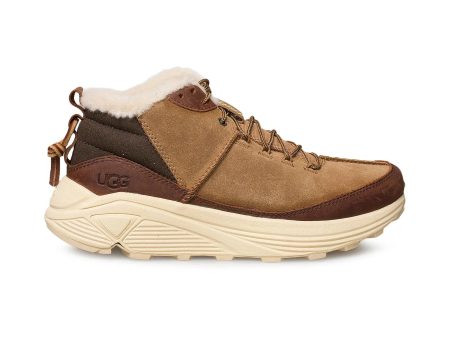 UGG Miwo Trainer High Chestnut Shoes - Men s Online now